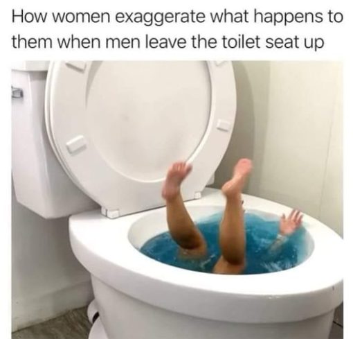 Funniest Memes, Men vs Women, Relationship Memes How women exaggerate what happens to them when men leave the toilet