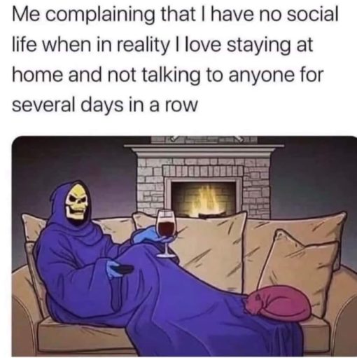 Funniest Memes, Introvert Memes, Skeletor Memes Me complaining that I have no social life when in reality I