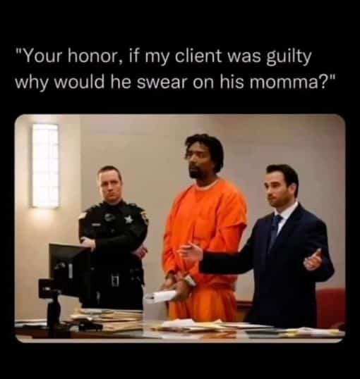 Funniest Memes, Racist Memes, Your Momma Memes Your honor  if my client was guilty why would he swear