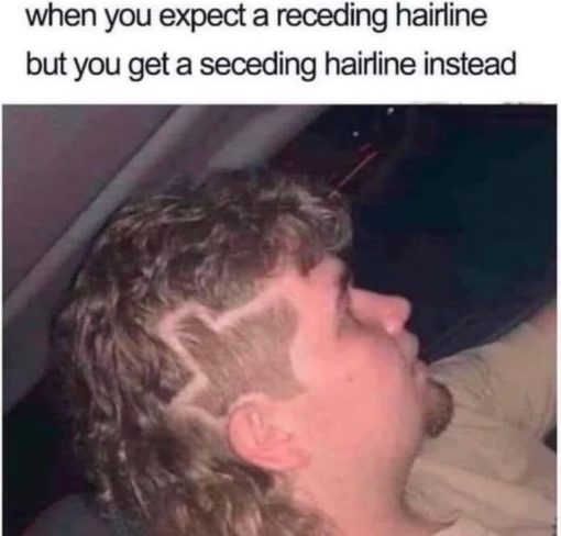 Funniest Memes, Hair Memes, Texas Memes, when you expect a receding hairline but you get a seceding hairline
