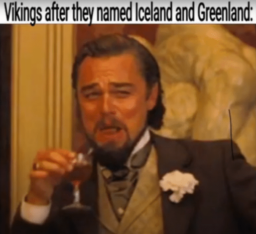 Funniest Memes, Funny Name Memes, Leonardo Dicaprio Vikings after they named Iceland and Greenland 