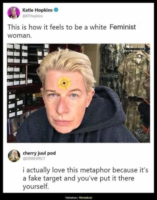 Feminist Memes, Funniest Memes This is how it feels to be a white Feminist