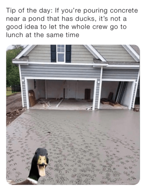 Animal Memes, Funniest Memes, Work Memes Tip of the day  If you   re pouring concrete