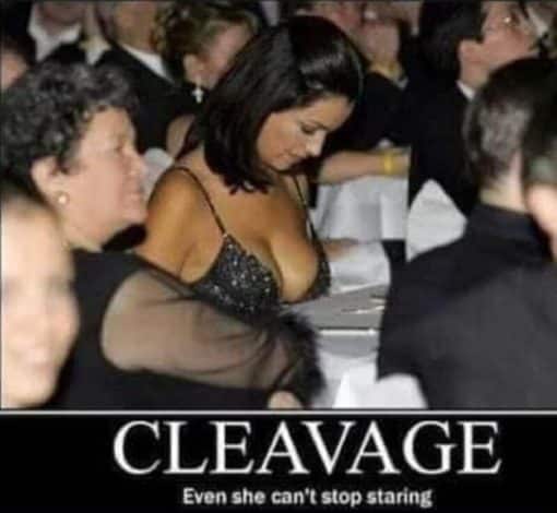 Boob Memes, Funniest Memes CLEAVAGE Even she can't stop staring
