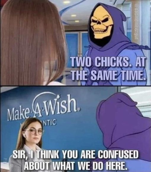 Funniest Memes, Skeletor Memes Make a Wish