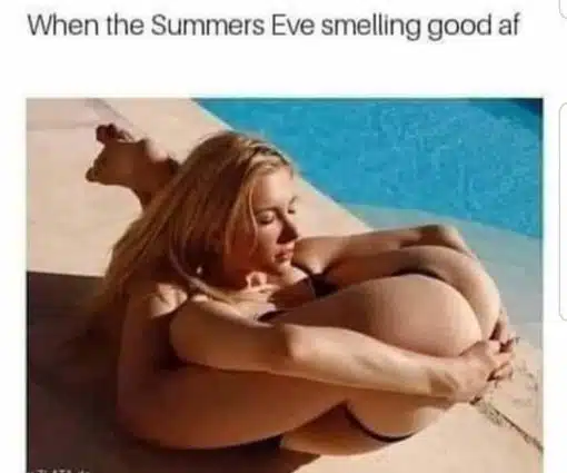 Funniest Memes, Oral Sex Memes When the Summers Eve smelling good af