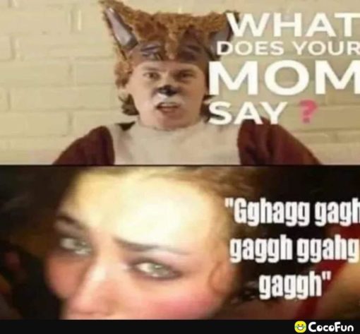 Funniest Memes, Oral Sex Memes, Your Momma Memes WHAT DOES YOUR MOM SAY  Gghagg gagh gagggh ggaaggh gaggh