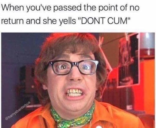 Funniest Memes, Sex Memes When you ve passed the point of no return and she yells