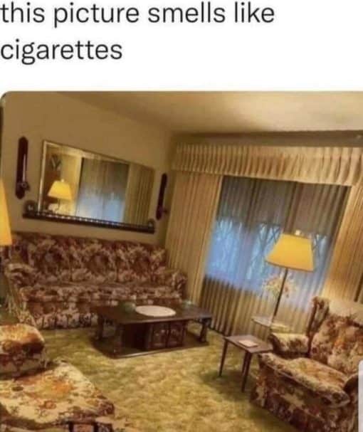 Funniest Memes, Old People Memes this picture smells like cigarettes