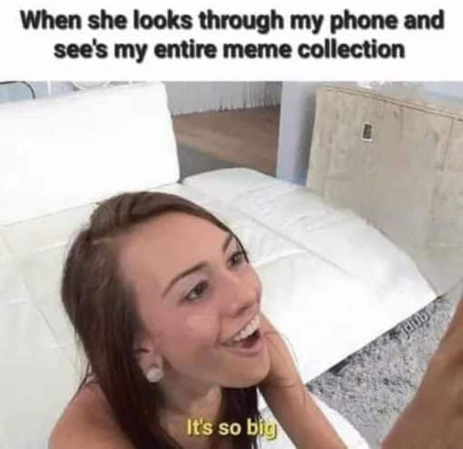 Funniest Memes, Meme Lord Memes, Penis Memes, Porn Memes When she looks through my phone and see s my entire meme