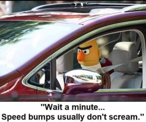 Driving Memes, Funniest Memes Wait a minute    Speed bumps usually don t scream