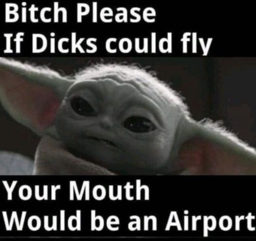 Funniest Memes, Oral Sex Memes, Slut Meme Bitch Please if Dicks Could Fly Your Mouth Would Be A Airport