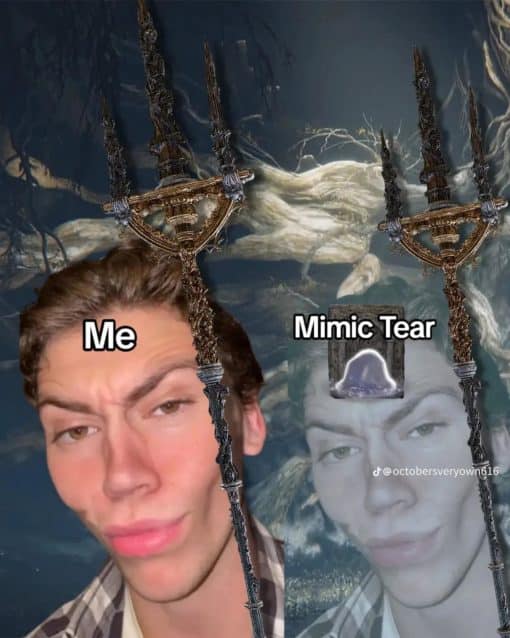 Dark Souls Memes, Funniest Memes Mimic Tear