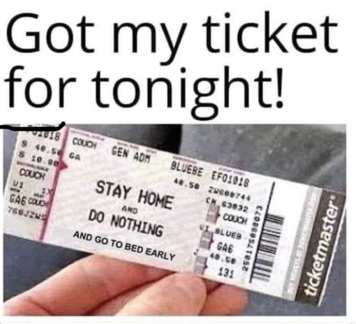 Funniest Memes, Introvert Memes Got my ticket for tonight STAY HOMEANDDO NOTHINGAND GO TO BED EARLYticketmaster