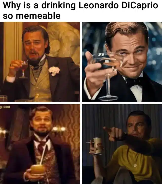 Funniest Memes, Leonardo Dicaprio, Leonardo DiCaprio Toast Why is a drinking Leonardo DiCaprio so memeable