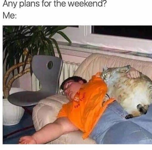 Fat Joke Memes, Funniest Memes, Introvert Memes Any plans for the weekend Me 