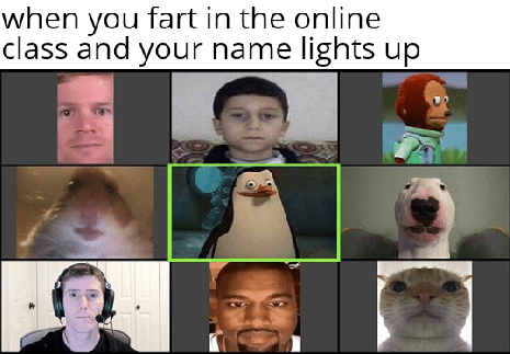Fart Memes, Funniest Memes when you fart in the online class and your name lights up