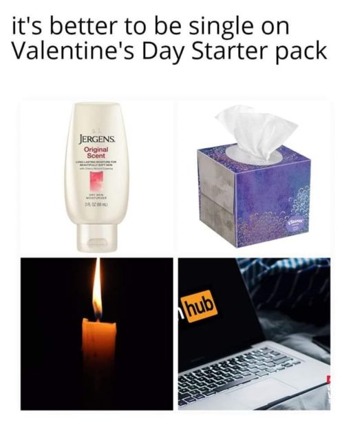 Funniest Memes, Masterbation Memes, Valentines Day Memes Single on Valentines Day Starter Pack
