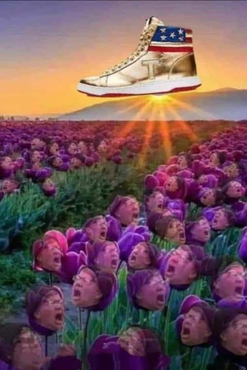 Donald Trump Memes, Funniest Memes Trump Shoes makes them cry