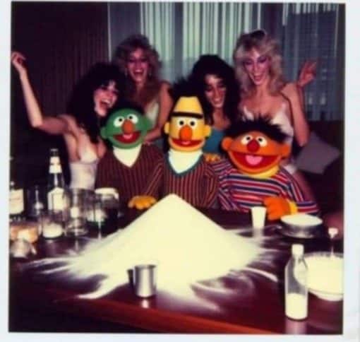 Funniest Memes, Sesame Street Memes Bert and Ernie Coke n Hookers
