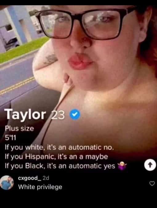 Dating Apps Memes, Dating Memes, Funniest Memes, Racist Memes Plus sized white privilege 