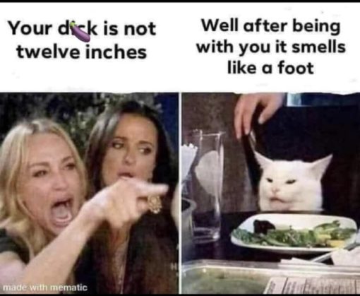 Funniest Memes, Penis Memes  Your d  k is not twelve inches   Well 