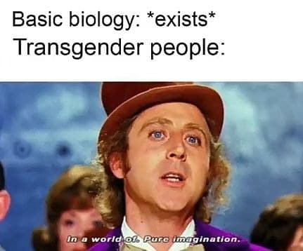 Political Memes, Woke Idiot Memes  Basic biology   exists  Transgender people  In a