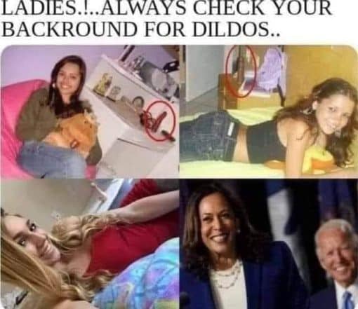 Funniest Memes, Joe Biden, Political Memes  LADIES   ALWAYS CHECK YOUR BACKGROUND FOR DILDOS  