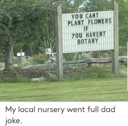 Dad Joke Memes, Funniest Memes, Plant Memes 