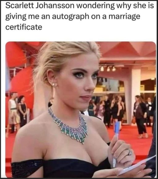 Celebrity Memes, Funniest Memes, Marriage Memes, Scarlett Johansson Memes 