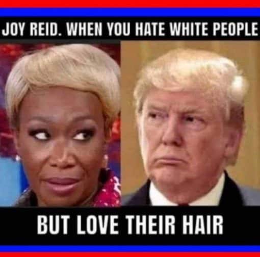 Donald Trump Memes, Funniest Memes, Racist Memes, Woke Idiot Memes  JOY REID  WHEN YOU HATE WHITE PEOPLE BUT LOVE THEIR