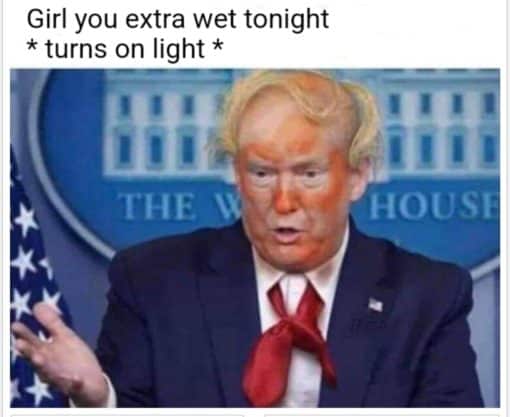 Donald Trump Memes, Funniest Memes, Oral Sex Memes 