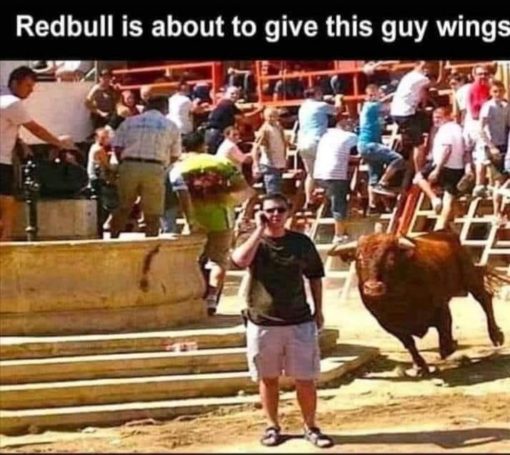 Animal Memes, Funniest Memes Redbull is about to give this guy wings