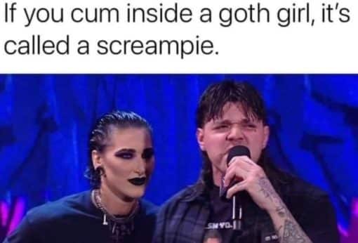 Cum Memes, Funniest Memes, Goth Memes If you cum inside a goth girl it's called a screampie