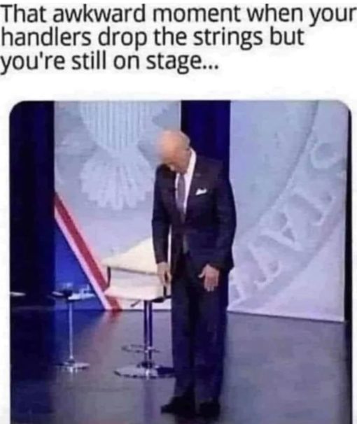 Funniest Memes, Joe Biden, Political Memes Presidential Puppet 