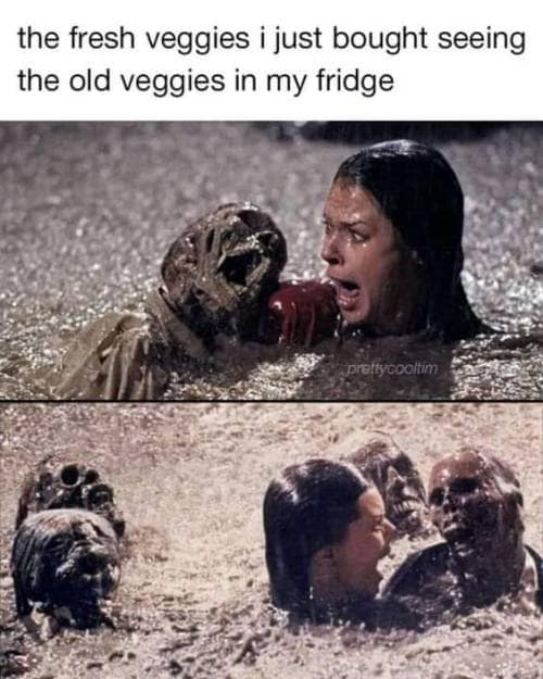 Food Memes, Funniest Memes, Horror Memes 