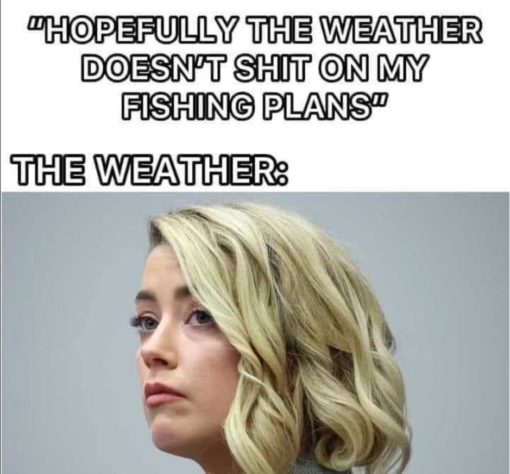 Fish Memes, Funniest Memes, Weather Memes 