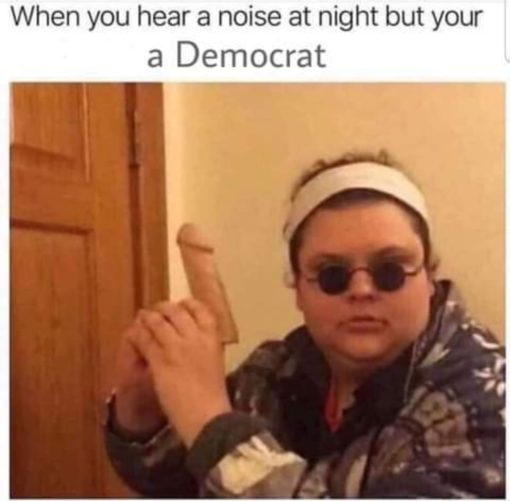 Anti Democrat Memes, Funniest Memes 