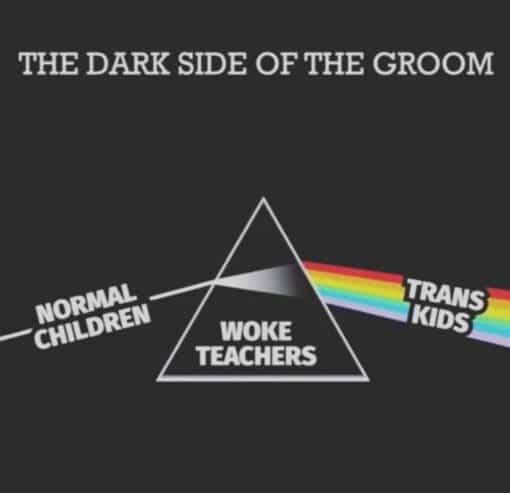 Funniest Memes, Pedofile Memes, Trans Memes, Woke Idiot Memes  THE DARK SIDE OF THE GROOM   NORMAL CHILDREN 