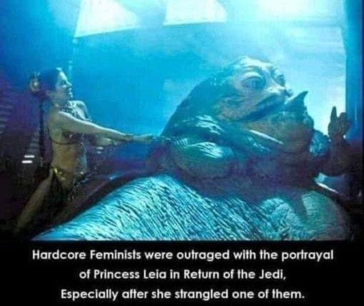 Feminist Memes, Funniest Memes, Star Wars Memes 