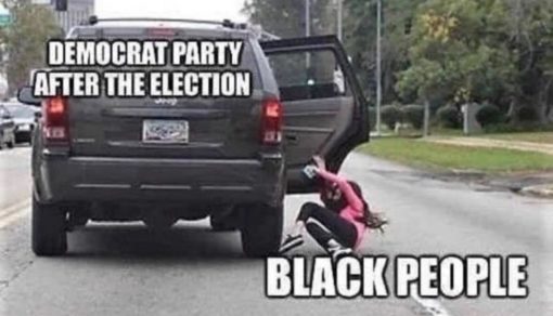 Anti Democrat Memes, Funniest Memes  DEMOCRAT PARTY AFTER THE ELECTION  BLACK PEOPLE  