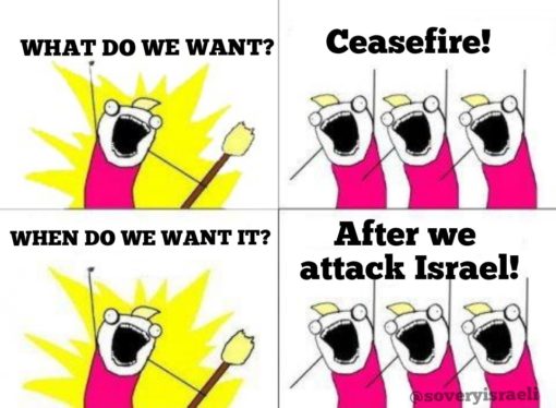 Funniest Memes, Hamas Memes, Political Memes  WHAT DO WE WANT  Ceasefire   WHEN DO WE