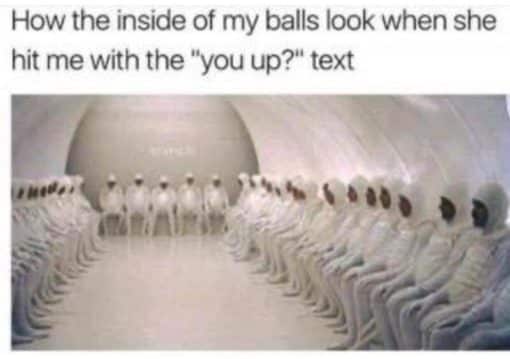 Ball Memes, Dirty Text Memes  How the inside of my balls look when she hit me