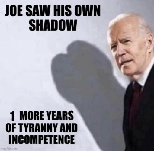 Political Memes  JOE SAW HIS OWN SHADOW 1 MORE YEARS OF TYRANNY AND
