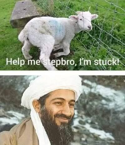 Muslim Memes  Help me stepbro  I m stuck   