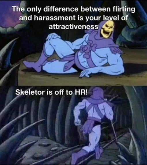 Flirting Memes, Funniest Memes, HR Memes, Skeletor Memes The only difference between flirting and harassment is your level of Attractiveness