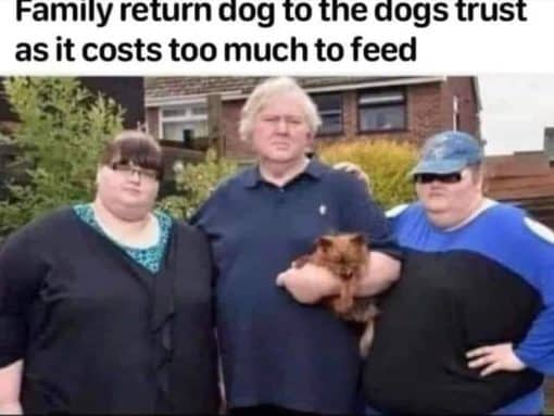 Fat Joke Memes, Funniest Memes  Family return dog to the dogs trust as it costs too