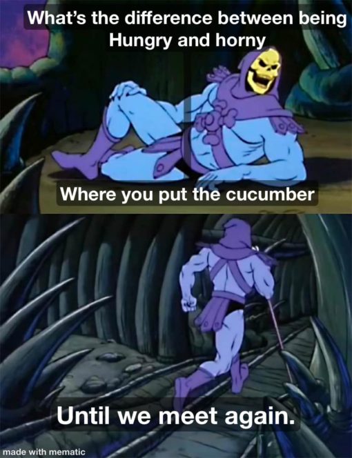 Funniest Memes, Sex Toy Memes, Skeletor Memes  What s the difference between being Hungry and horny