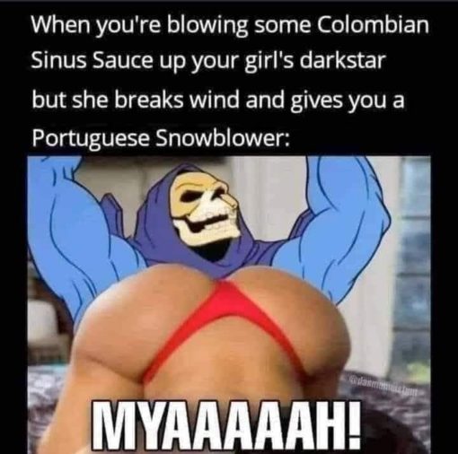 Drugs Memes, Funniest Memes, Skeletor Memes  When you re blowing some Colombian Sinus Sauce up your girl