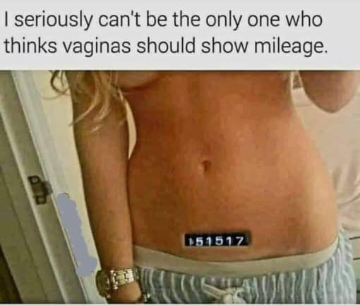 Funniest Memes, Slut Meme  I seriously can t be the only one who thinks vaginas
